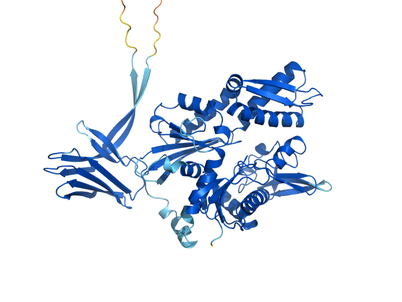 AlphaFold predicted structure of SSZ1