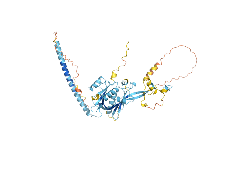 AlphaFold predicted structure of SSF1