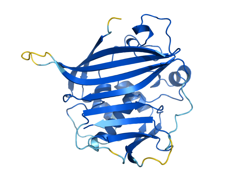 AlphaFold predicted structure of HTD2