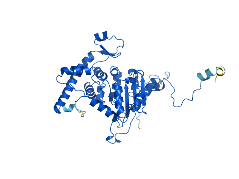 AlphaFold predicted structure of DYS1