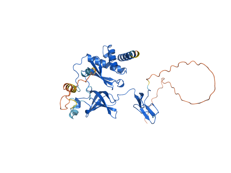 AlphaFold predicted structure of RRP4