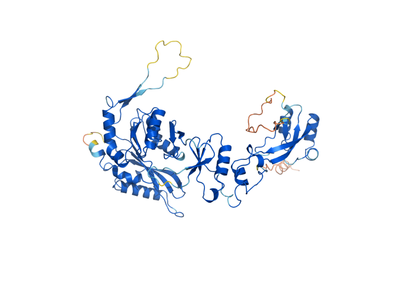 AlphaFold predicted structure of TRM5