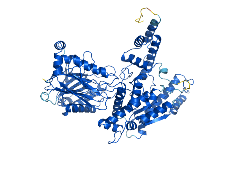 AlphaFold predicted structure of QNS1