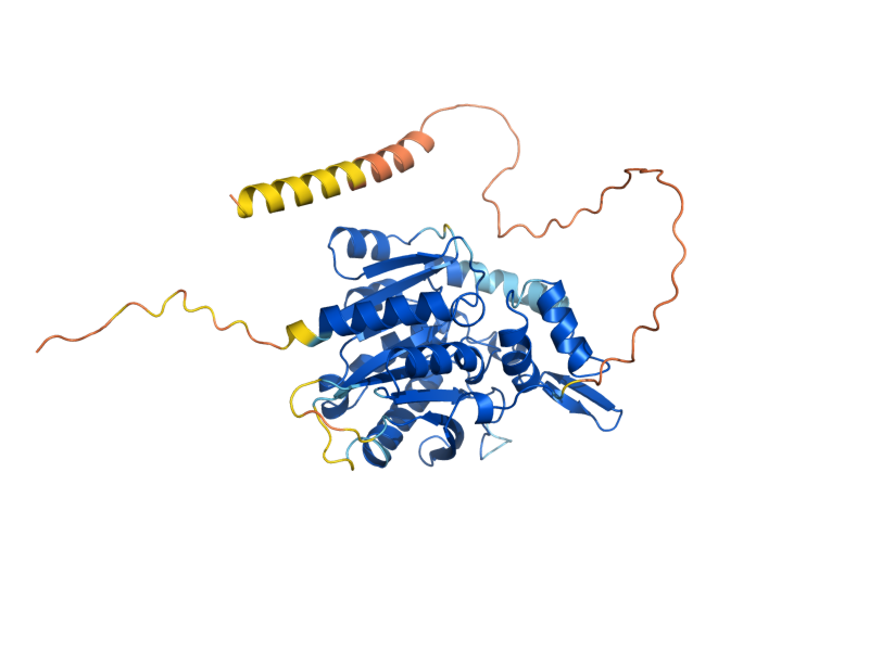 AlphaFold predicted structure of PPE1