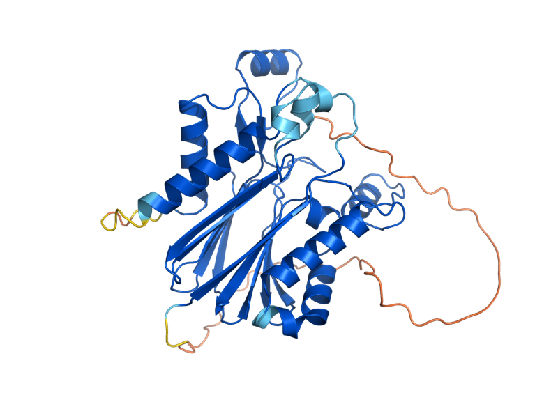 AlphaFold predicted structure of PTC7