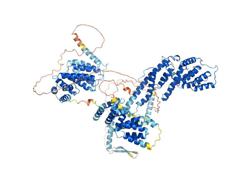 AlphaFold predicted structure of NMD2