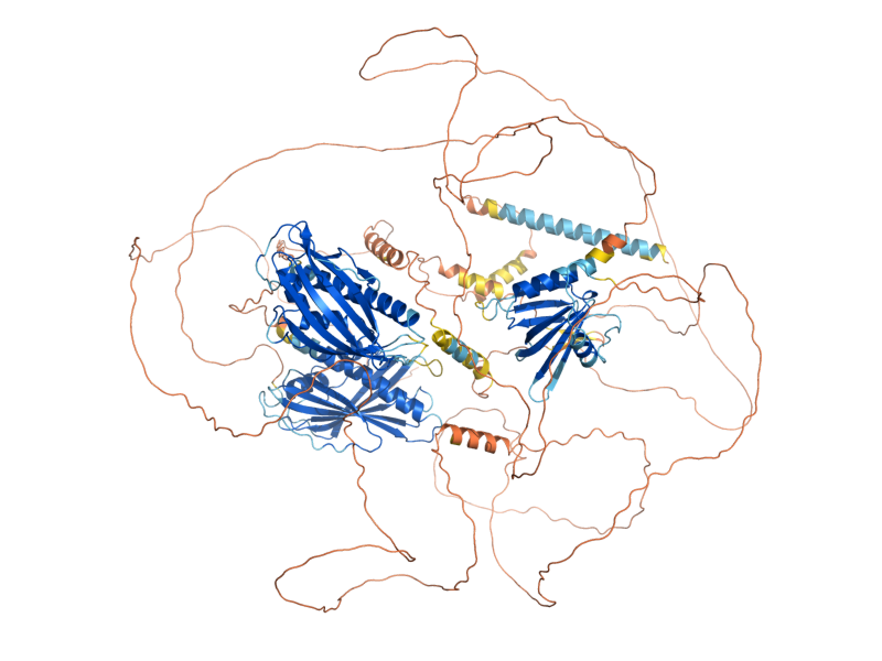 AlphaFold predicted structure of LAM4