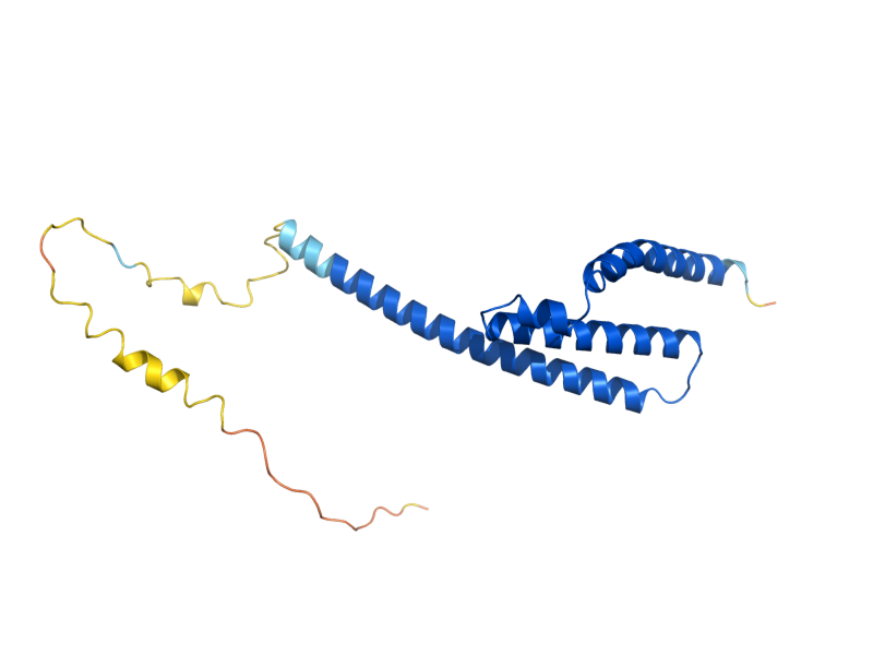AlphaFold predicted structure of LRP1