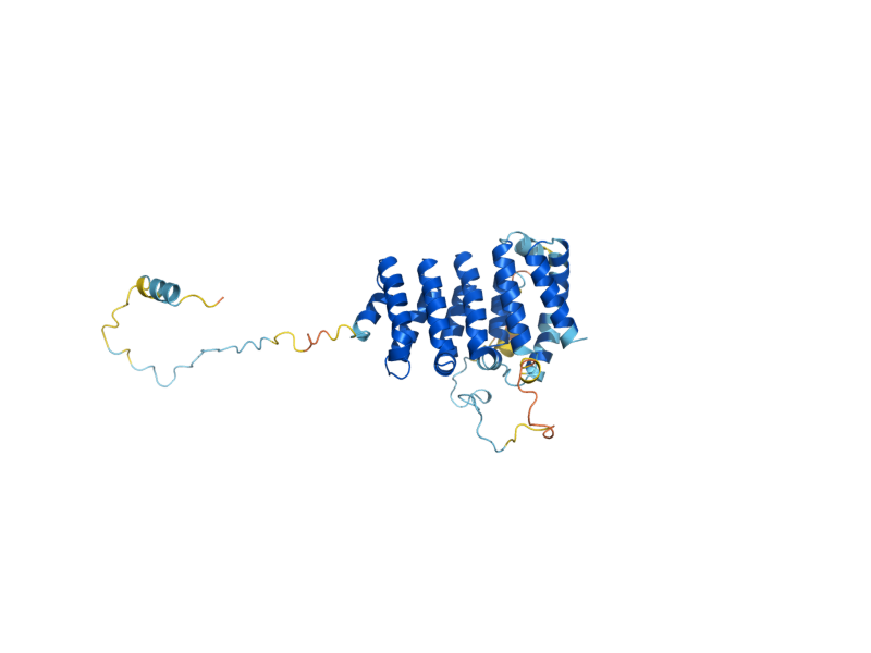AlphaFold predicted structure of IPI1