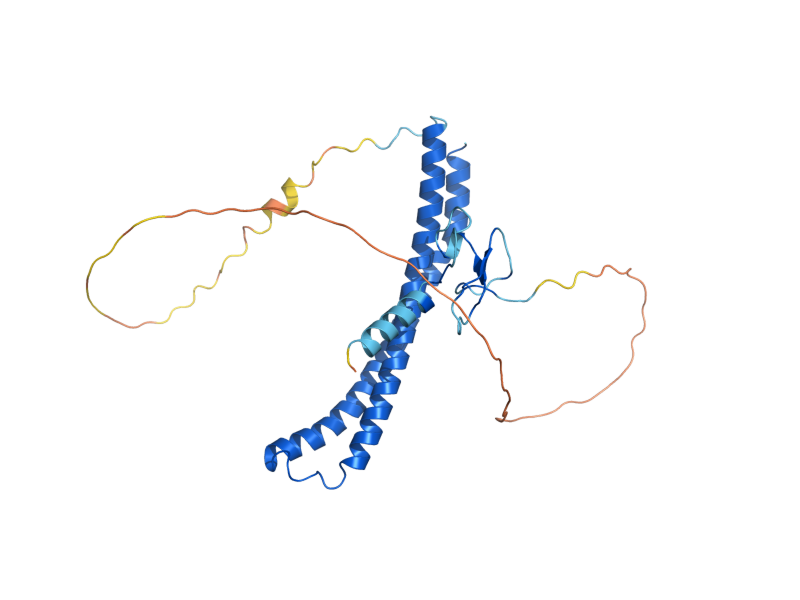 AlphaFold predicted structure of YNG2