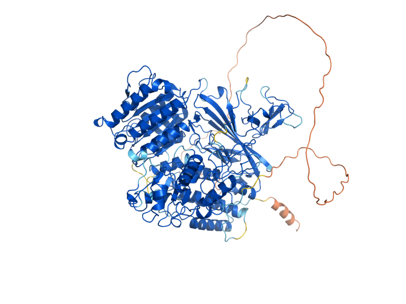 AlphaFold predicted structure of SFB3