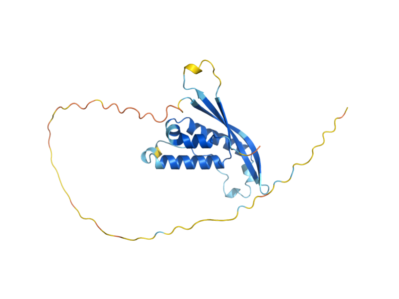 AlphaFold predicted structure of YPT35