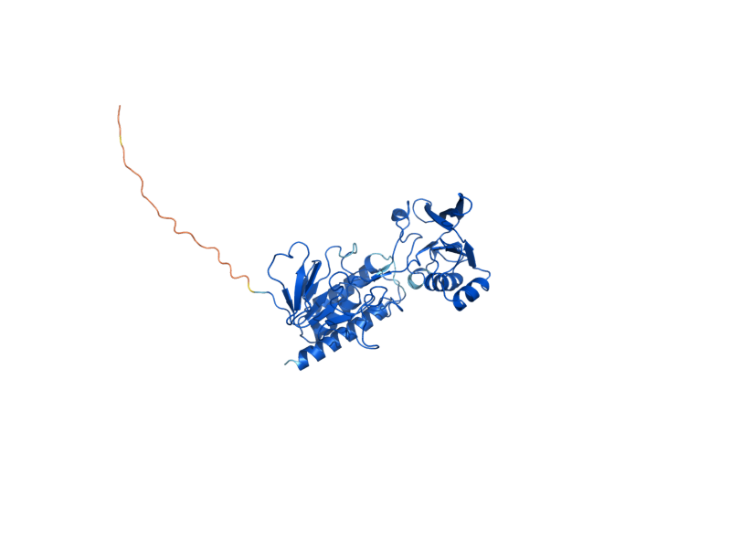 AlphaFold predicted structure of TRR2