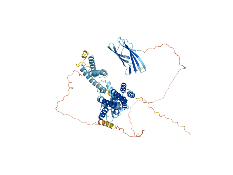 AlphaFold predicted structure of GGA2