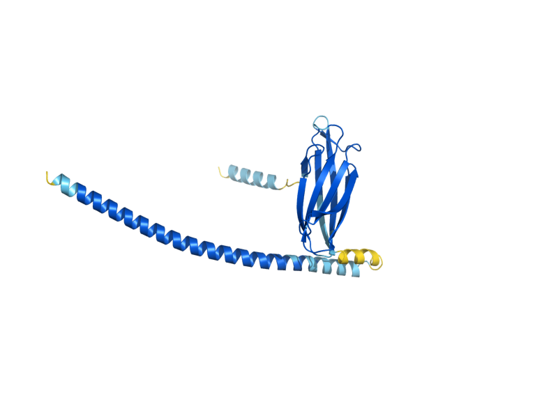 AlphaFold predicted structure of ERP5