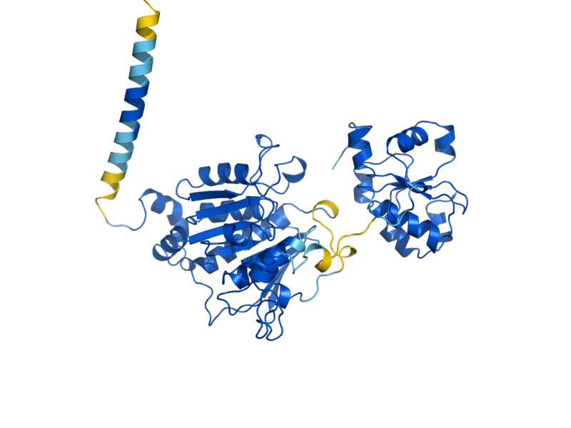 AlphaFold predicted structure of UBA4