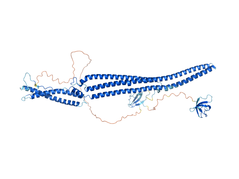 AlphaFold predicted structure of BZZ1