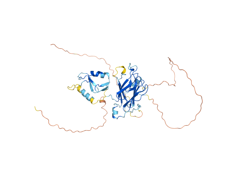 AlphaFold predicted structure of DMA1