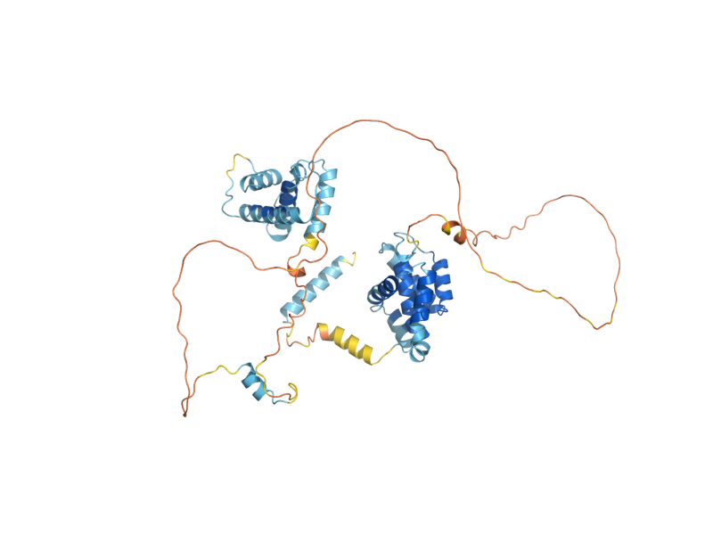 AlphaFold predicted structure of ORC6