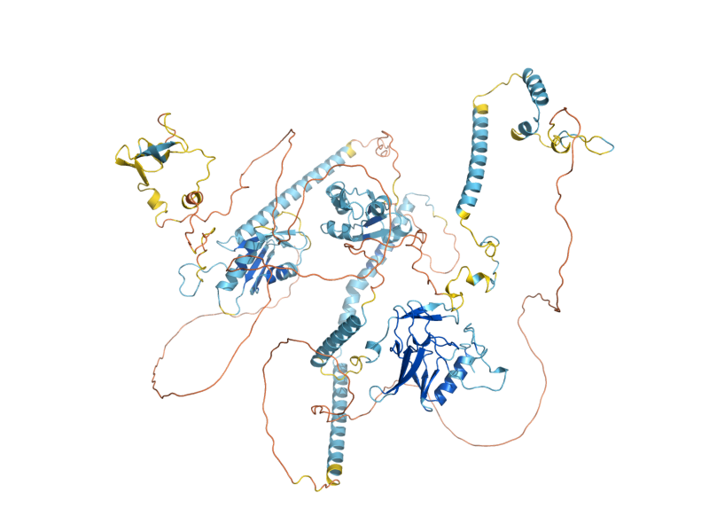 AlphaFold predicted structure of SET1