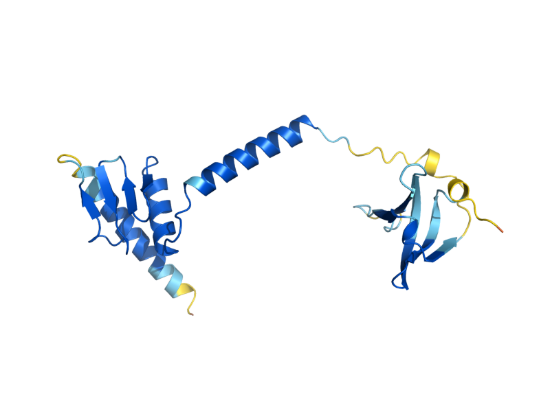 AlphaFold predicted structure of LSM12