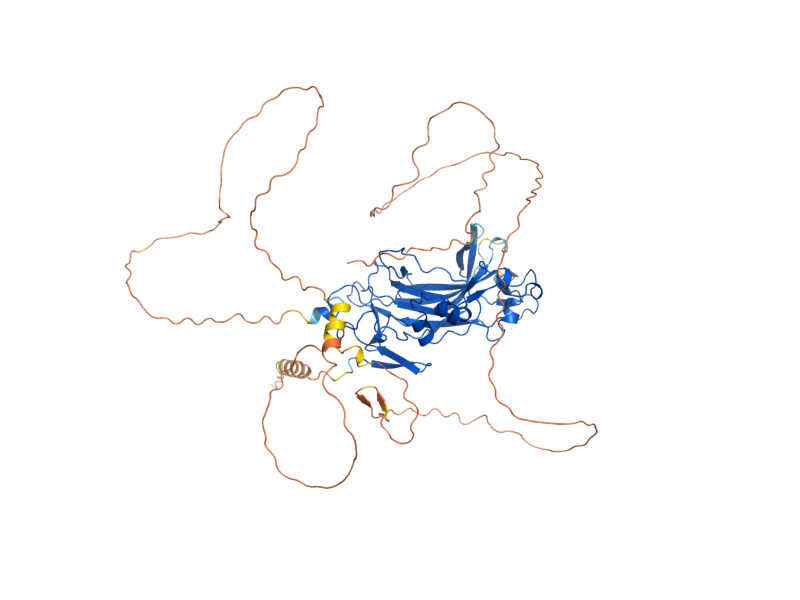 AlphaFold predicted structure of NDT80