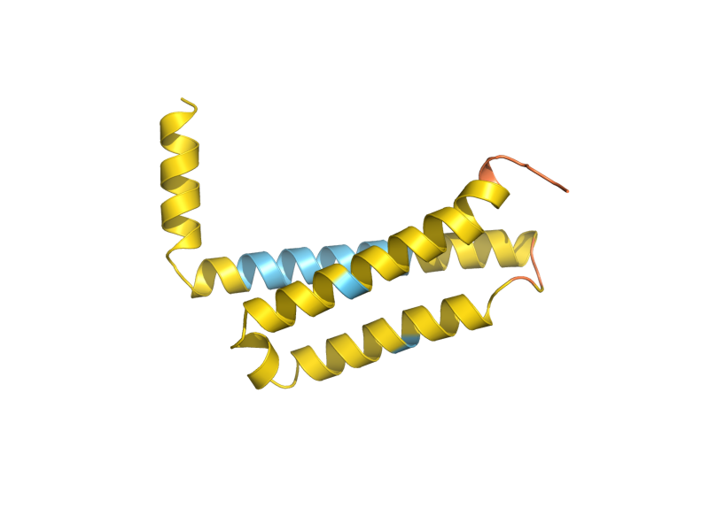 AlphaFold predicted structure of YHR130C