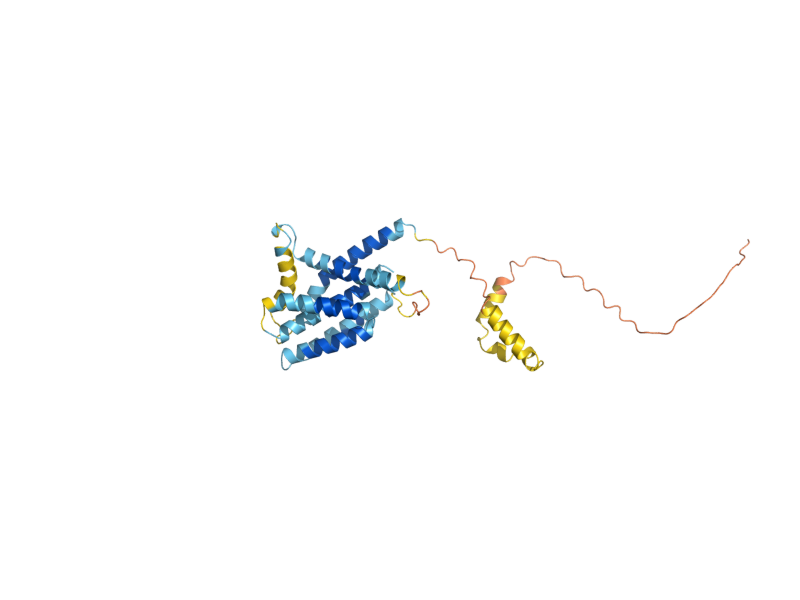 AlphaFold predicted structure of NSG1