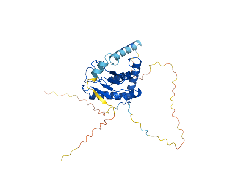 AlphaFold predicted structure of WSS1