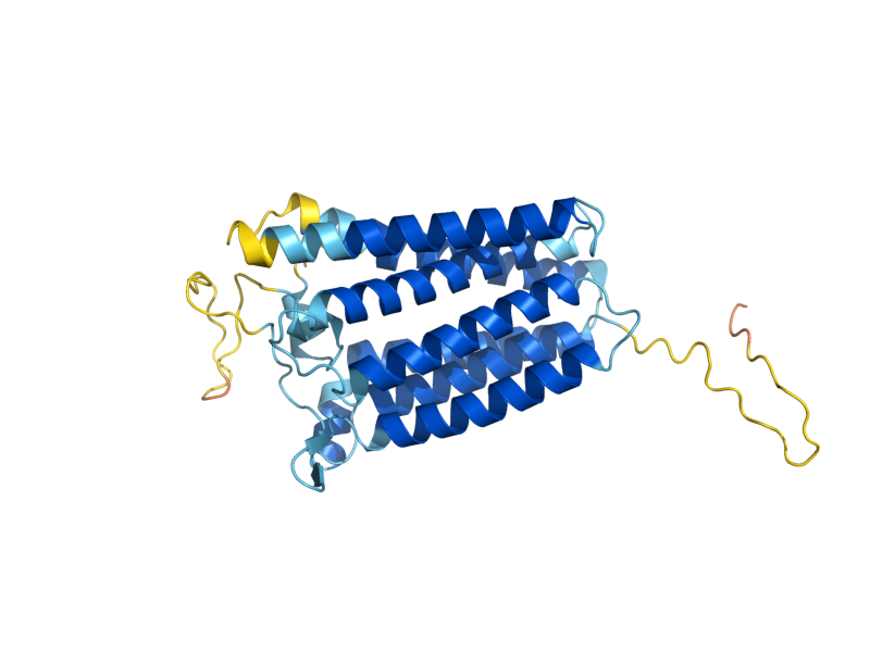 AlphaFold predicted structure of CHS7