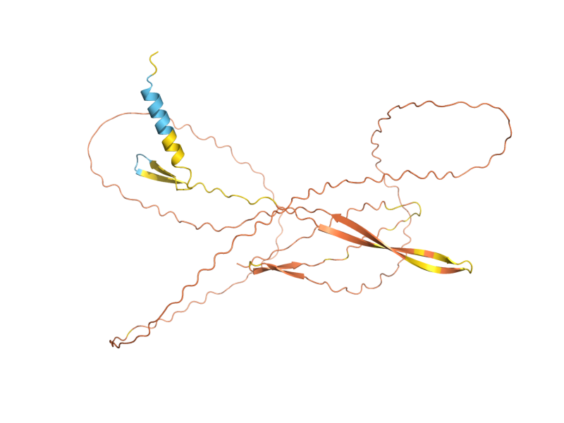 AlphaFold predicted structure of DSE2