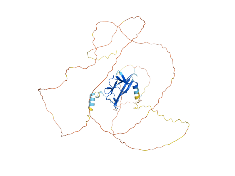 AlphaFold predicted structure of CRP1