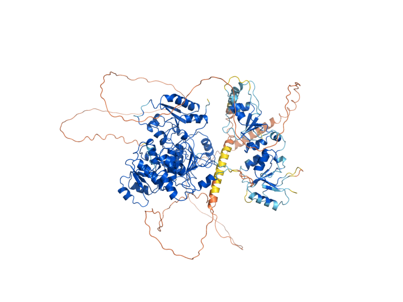 AlphaFold predicted structure of RTT107