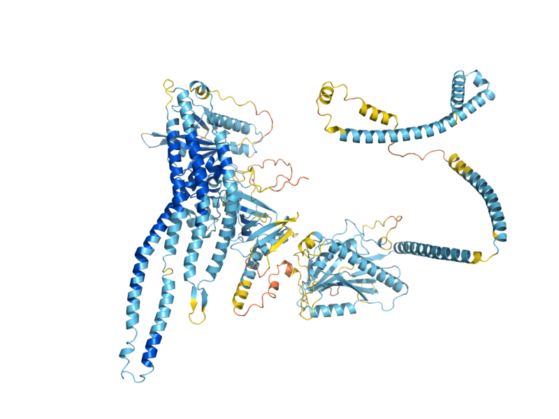 AlphaFold predicted structure of LAM1