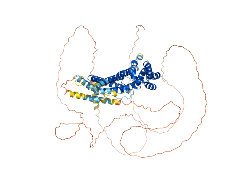AlphaFold predicted structure of YAP1801