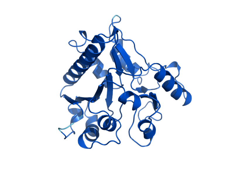 AlphaFold predicted structure of SOL3