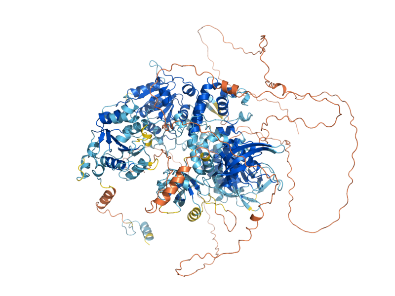 AlphaFold predicted structure of DNA2