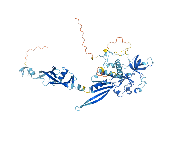 AlphaFold predicted structure of NMD3