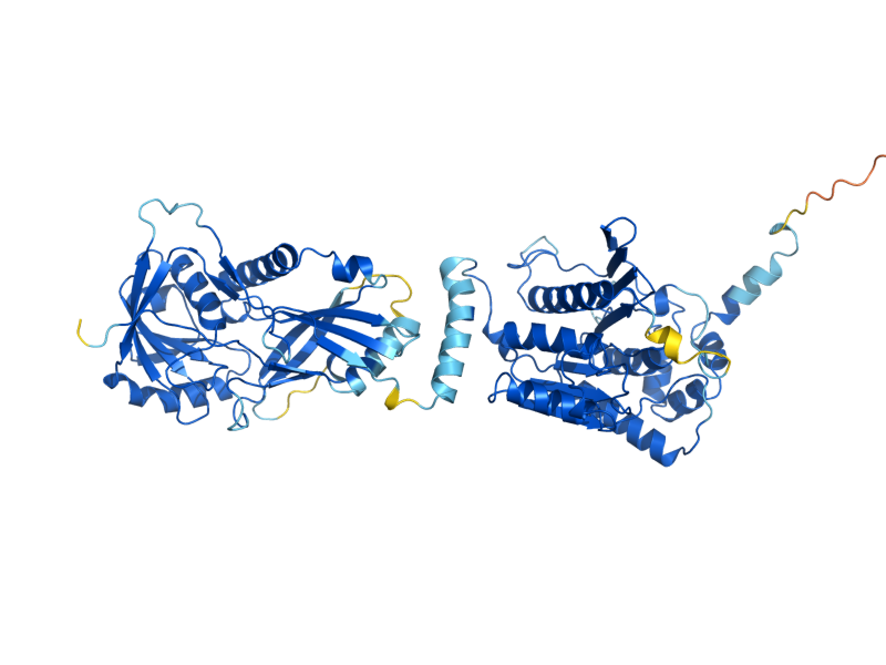 AlphaFold predicted structure of ATG7