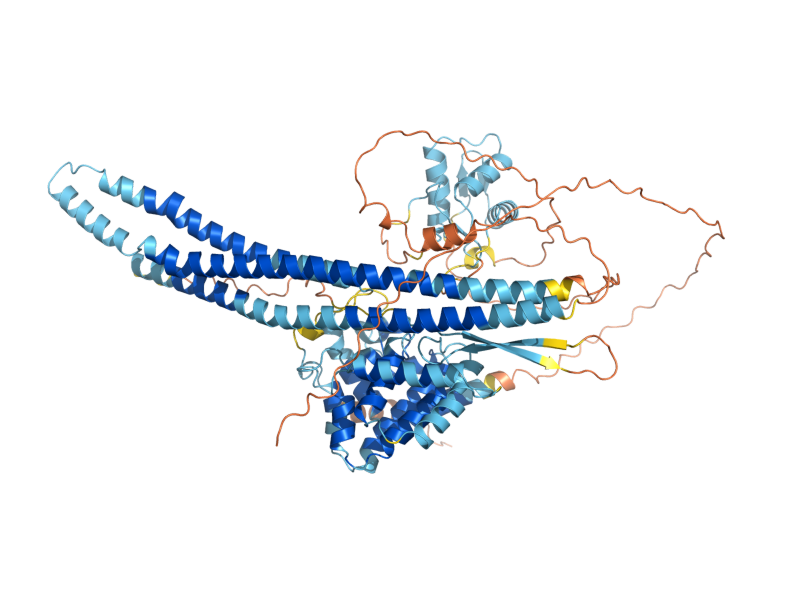 AlphaFold predicted structure of RGD3