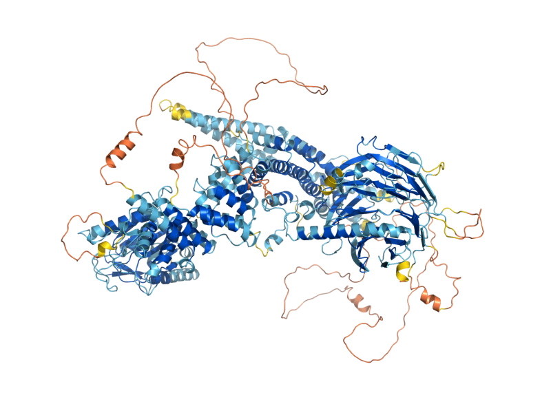 AlphaFold predicted structure of KOG1