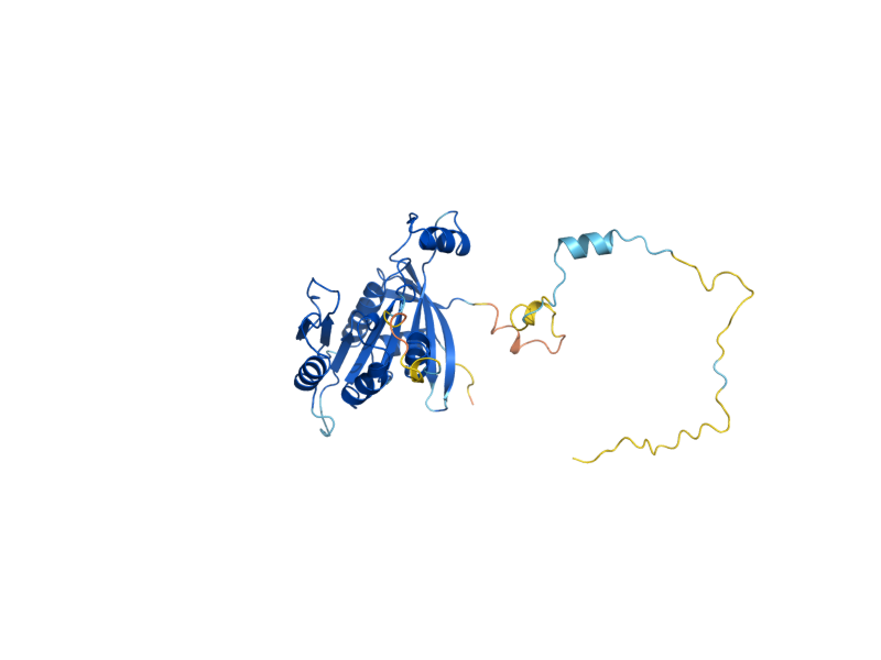 AlphaFold predicted structure of IKI1