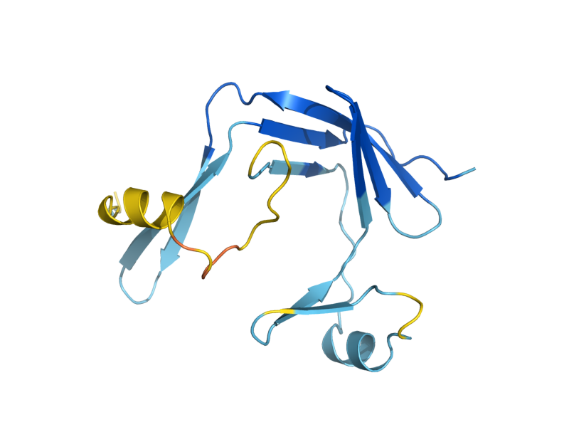 AlphaFold predicted structure of CTF8
