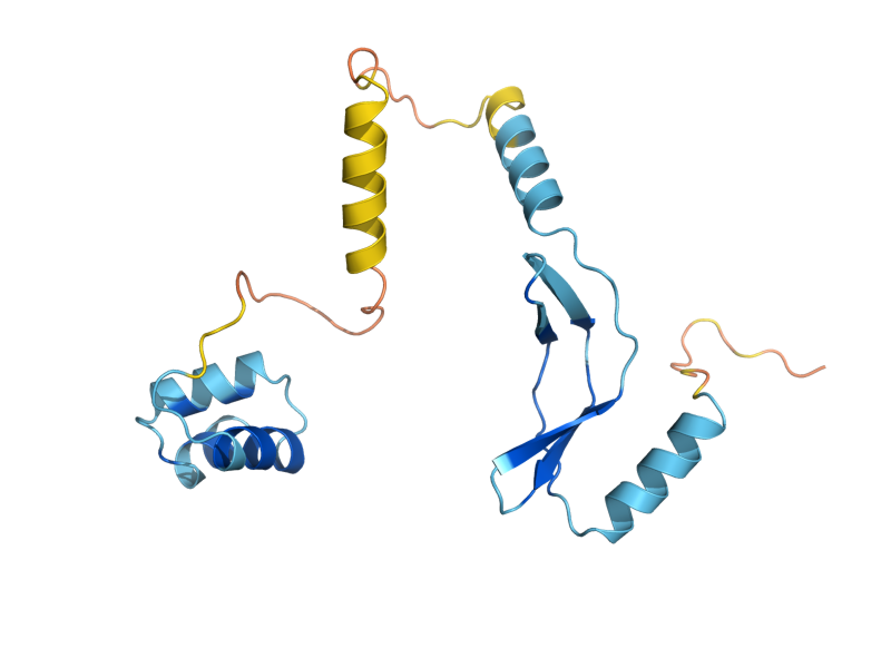 AlphaFold predicted structure of EGD2