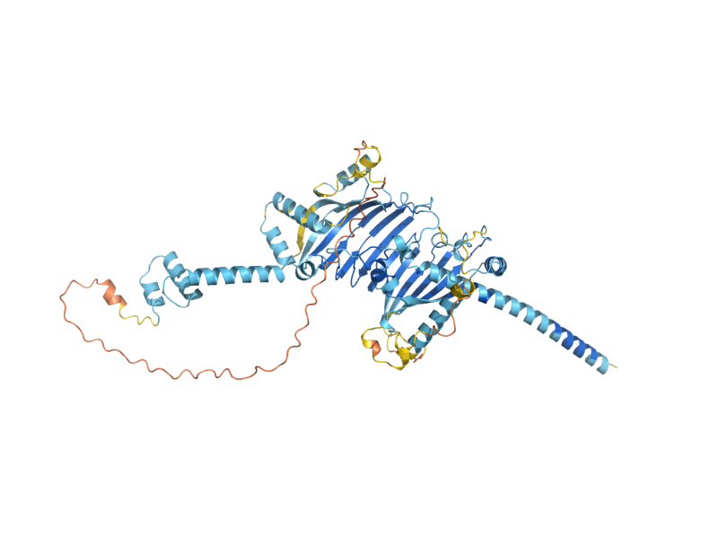 AlphaFold predicted structure of MDM31