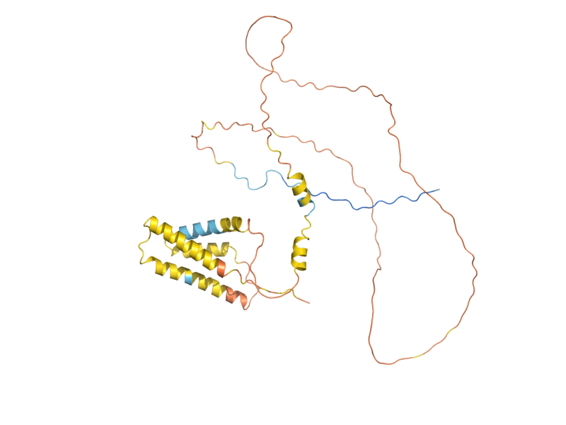 AlphaFold predicted structure of NVJ1