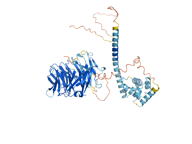 AlphaFold predicted structure of UTP9