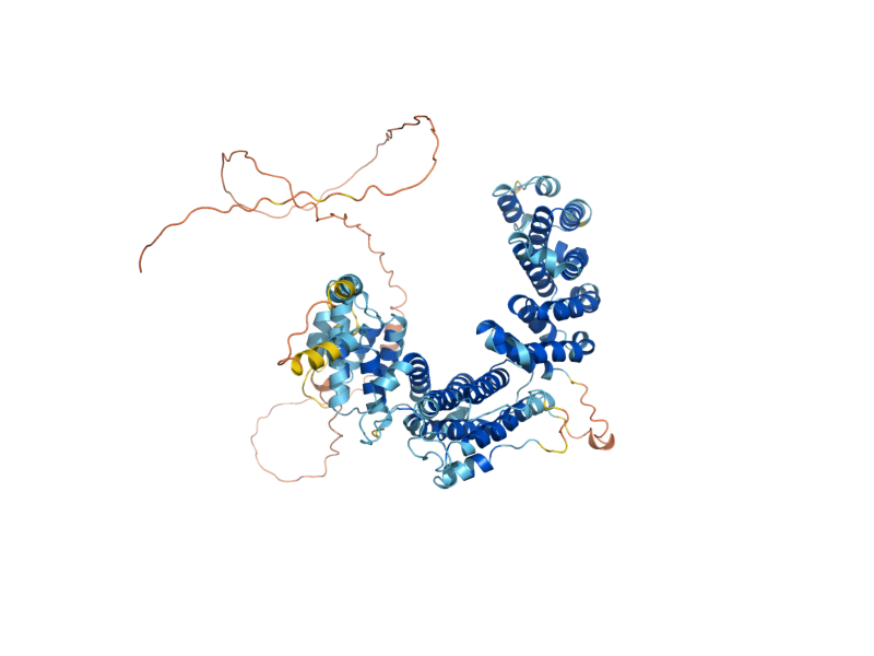 AlphaFold predicted structure of RIX1