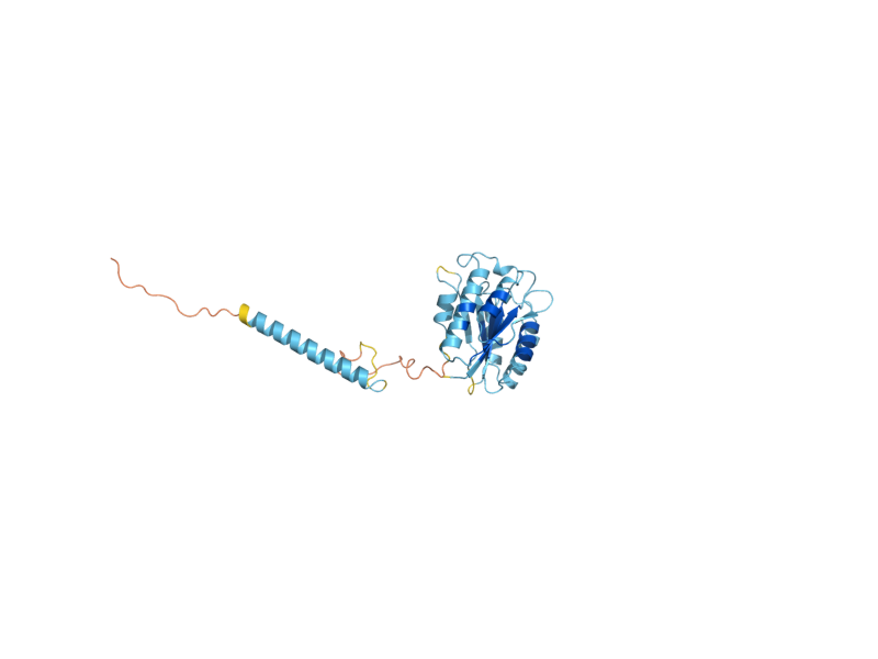 AlphaFold predicted structure of RPN10