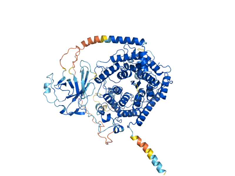 AlphaFold predicted structure of MNL1